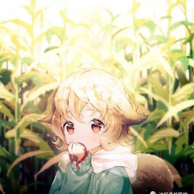 莫氏鸡煲老板回应不想火却开分店